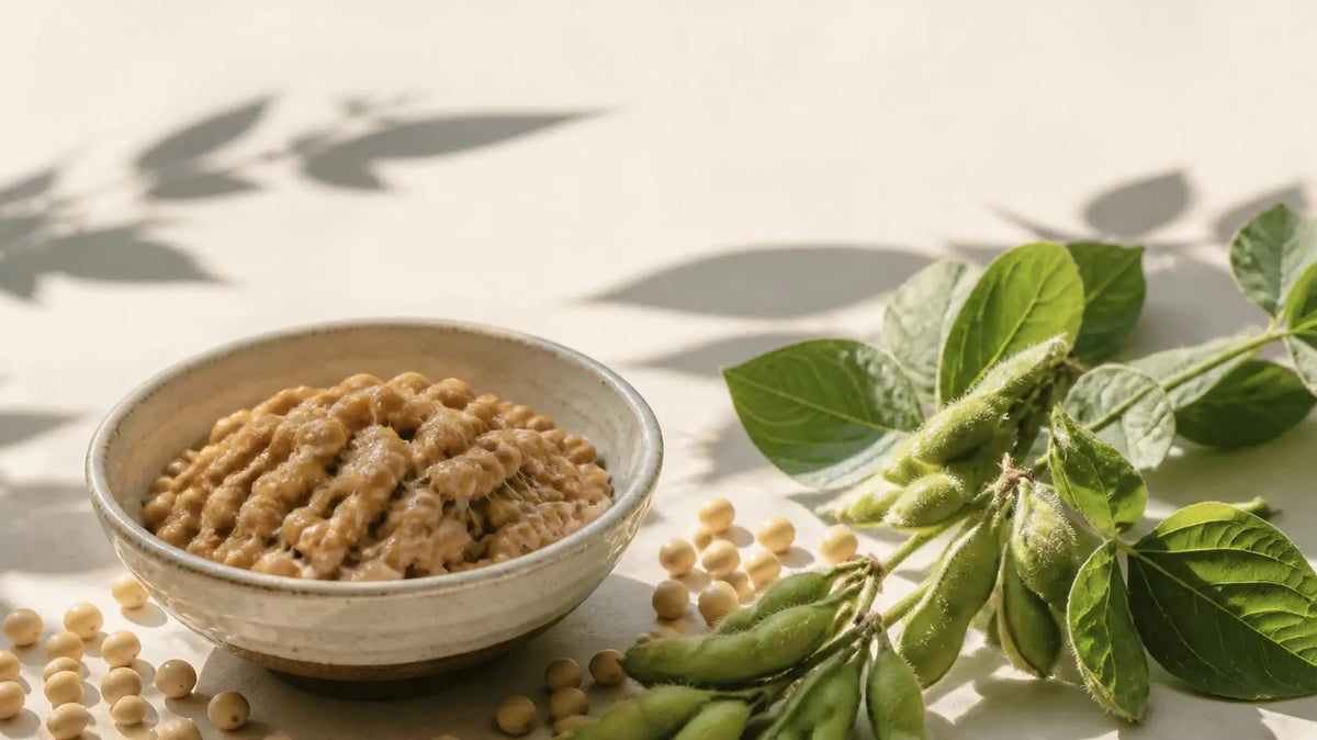 Nattokinase side effects