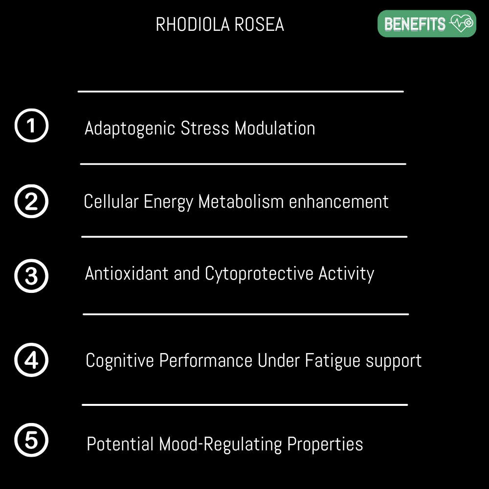 Rhodiola rosea
