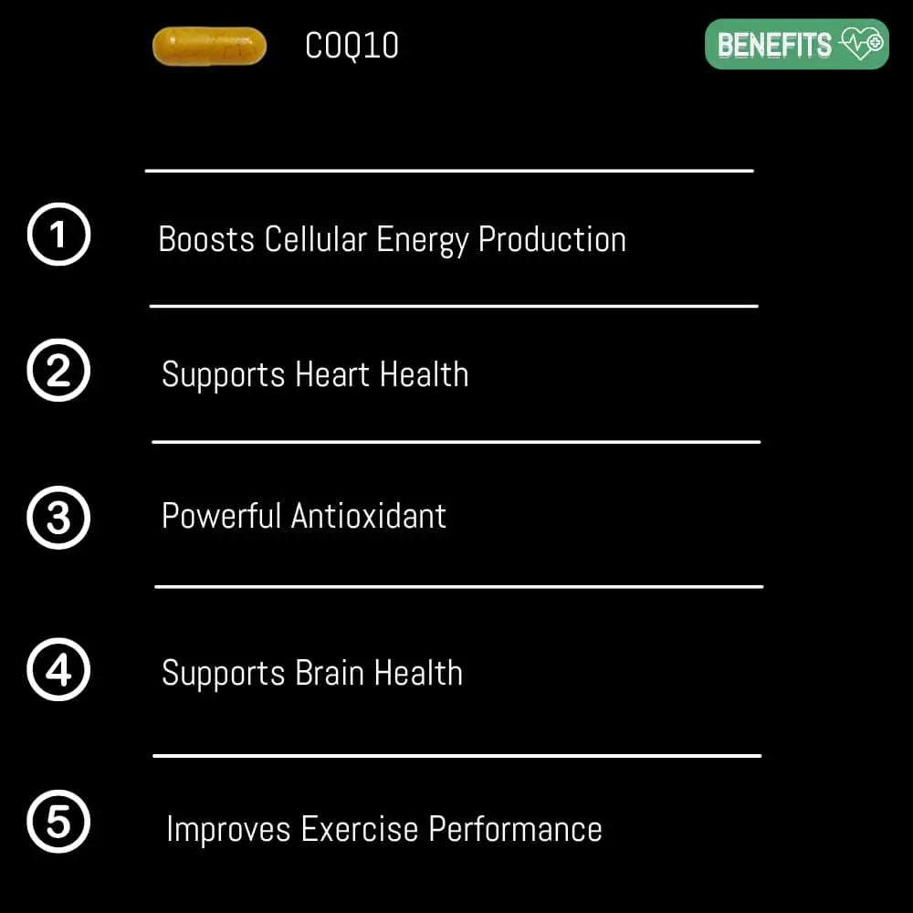 best coq 10 supplement 