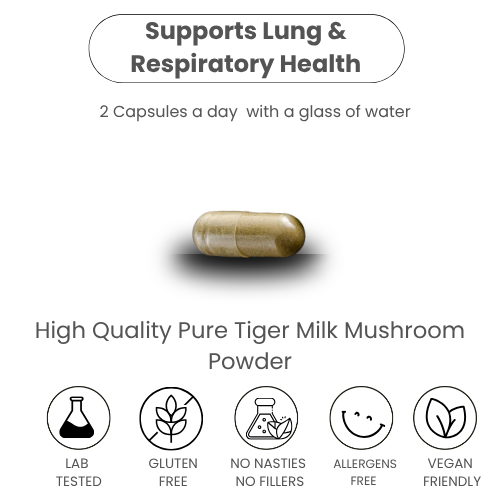 Tiger milk mushroom